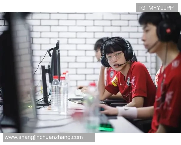 精英赛中FPX团队协作表现分析与评价探讨